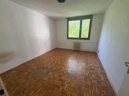Ruže Šulman | 4zida.rs