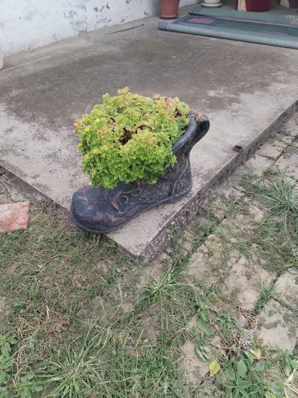 Samoš | 4zida.rs