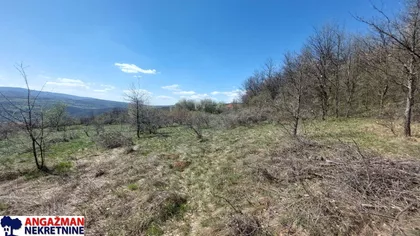 Krivovirska | 4zida.rs