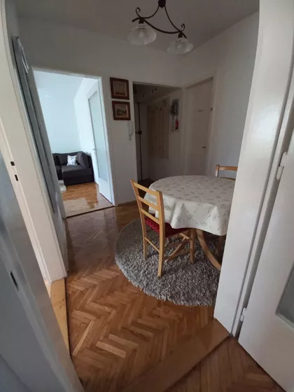 Miše Dimitrijevića | 4zida.rs