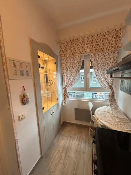 Dalmatinska | 4zida.rs