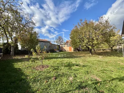 Žarka Savića | 4zida.rs