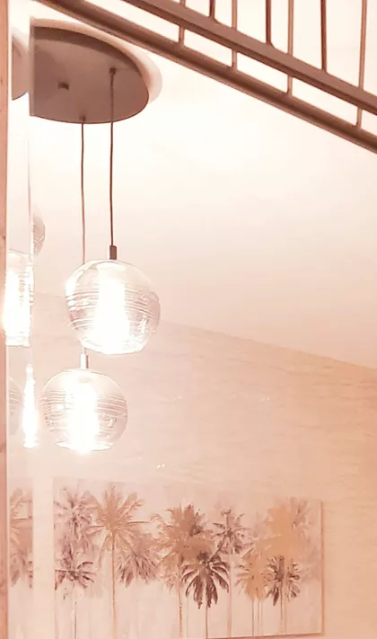 Janka Čmelika | 4zida.rs