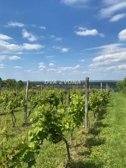 Novi Slankamen | 4zida.rs