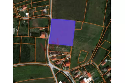 Dućevac-Žuti potok | 4zida.rs