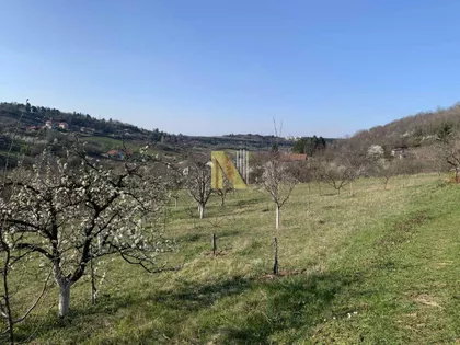 Sremska Kamenica | 4zida.rs