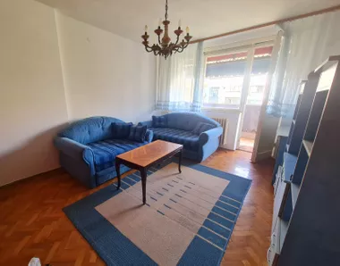 Radoja Domanovića