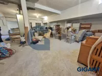 Lokal | 4zida