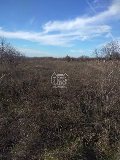 Čamurlija | 4zida.rs