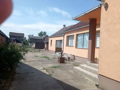 Svetislava Radinovića | 4zida.rs