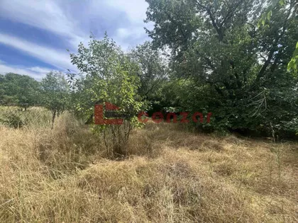 Kelebija | 4zida.rs