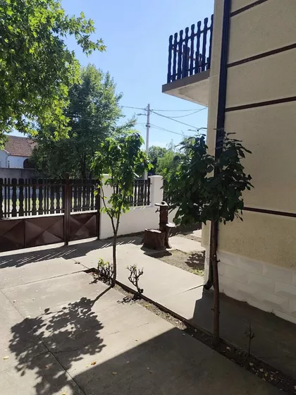 Heroja Raše | 4zida.rs