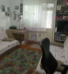 Podbara, Gradske lokacije, Novi Sad | 4zida.rs | 4zida.rs