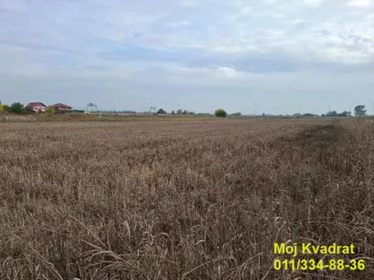 Ane Bešlić | 4zida.rs