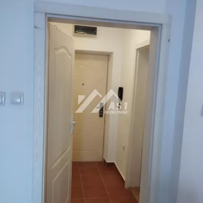 Cara Dušana | 4zida.rs