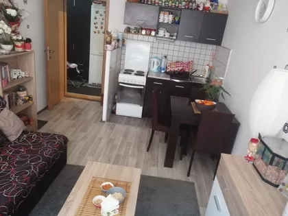 Staro groblje, Čarnojevićeva | 4zida.rs