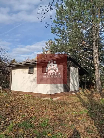 MITRA TRIFUNOVICA UCE | 4zida.rs