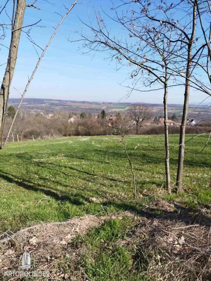 Veliki Borak | 4zida.rs