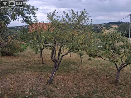 Košutnjak | 4zida.rs