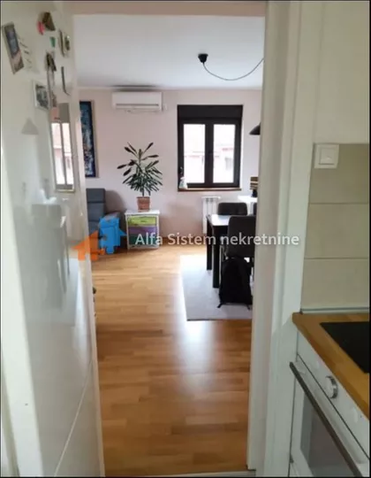 Lekino Brdo | 4zida.rs
