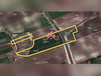 Makova Sedmica | 4zida.rs