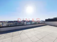 Novi Sad, Gradske lokacije, Podbara | 4zida.rs | 4zida.rs