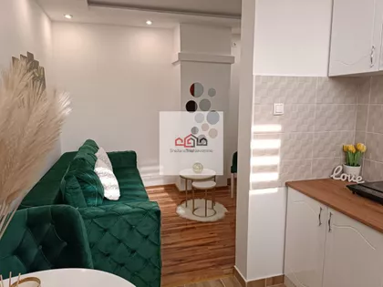 Salajka | 4zida.rs