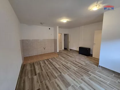 Rotkvarija | 4zida.rs