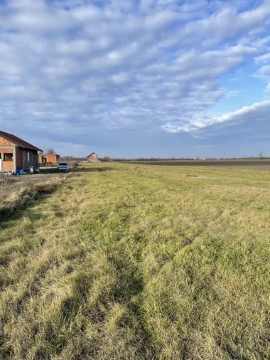 Ovča