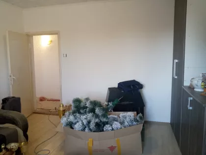 Dejana Smiljkovića | 4zida.rs