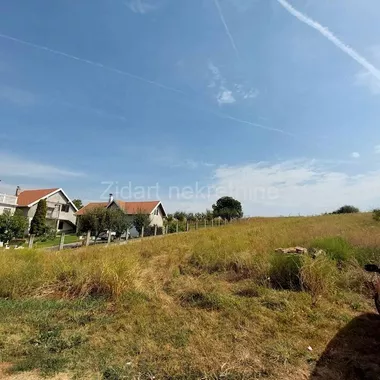 Ostružnica