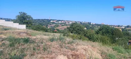Alibegovac | 4zida.rs