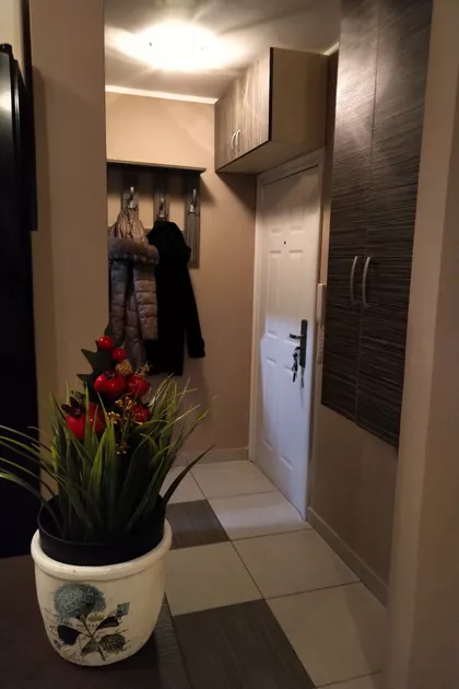 Zeke Buljubaše 12 | 4zida.rs