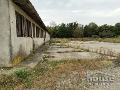 Rumenka | 4zida.rs