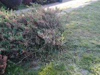 Gornja Varoš, Gradske lokacije, Sombor | 4zida.rs