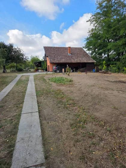 Saračka | 4zida.rs