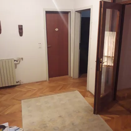 Darinke Čavdarević | 4zida.rs