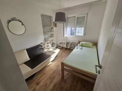 Dr Ivana Ribara | 4zida.rs