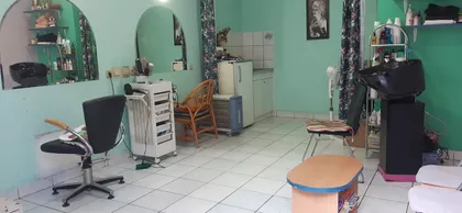 Aleksandra Dubčeka | 4zida.rs