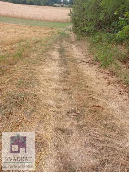 Mislođin | 4zida.rs