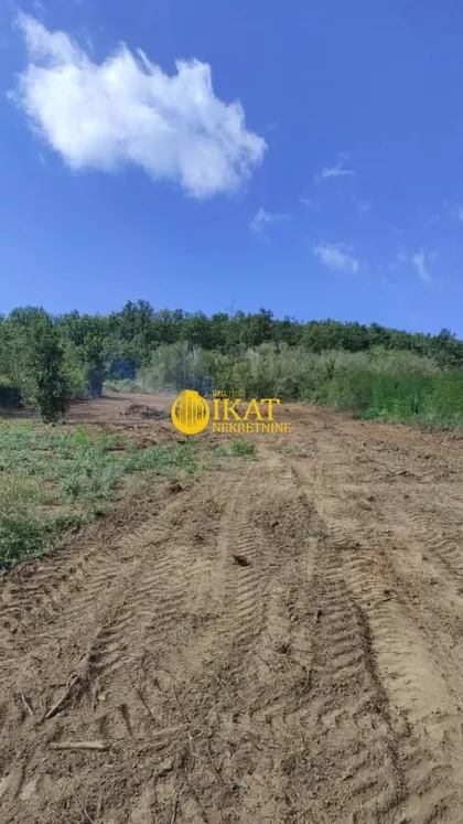 Kosmajski Put | 4zida.rs