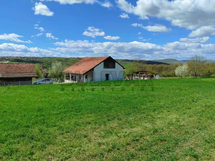 Pere Todorovića | 4zida.rs