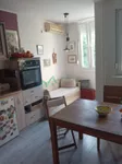 Sajmište, Gradske lokacije, Novi Sad | 4zida.rs | 4zida.rs