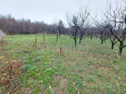 Banoštor | 4zida.rs