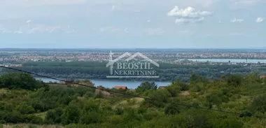 Višnjica