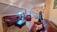 Novi Sad, Gradske lokacije, Detelinara | 4zida.rs | 4zida.rs
