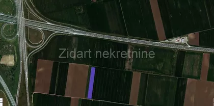 Dobanovci | 4zida.rs