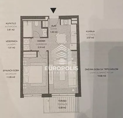 Endija Vorhola | 4zida.rs