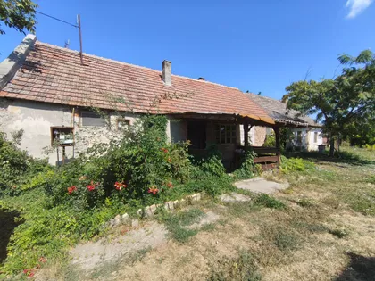 Ečka | 4zida.rs