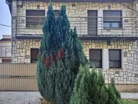 Stari Banovci, Okolne lokacije, Stara Pazova | 4zida.rs
